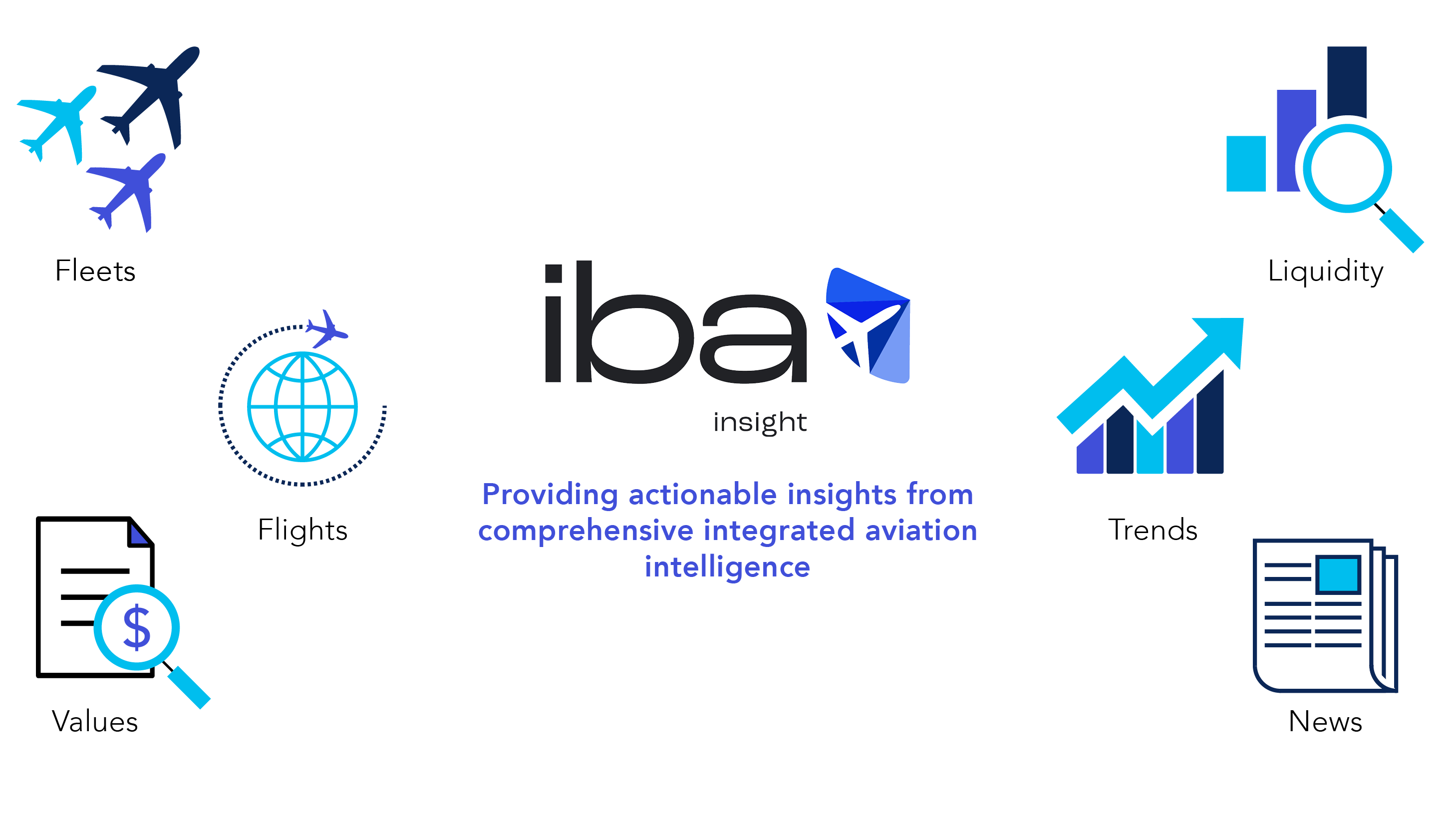 Infograhic showing the modules of IBA Insight