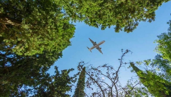 A photo of a commercial aircraft flying over some green trees in a forest.